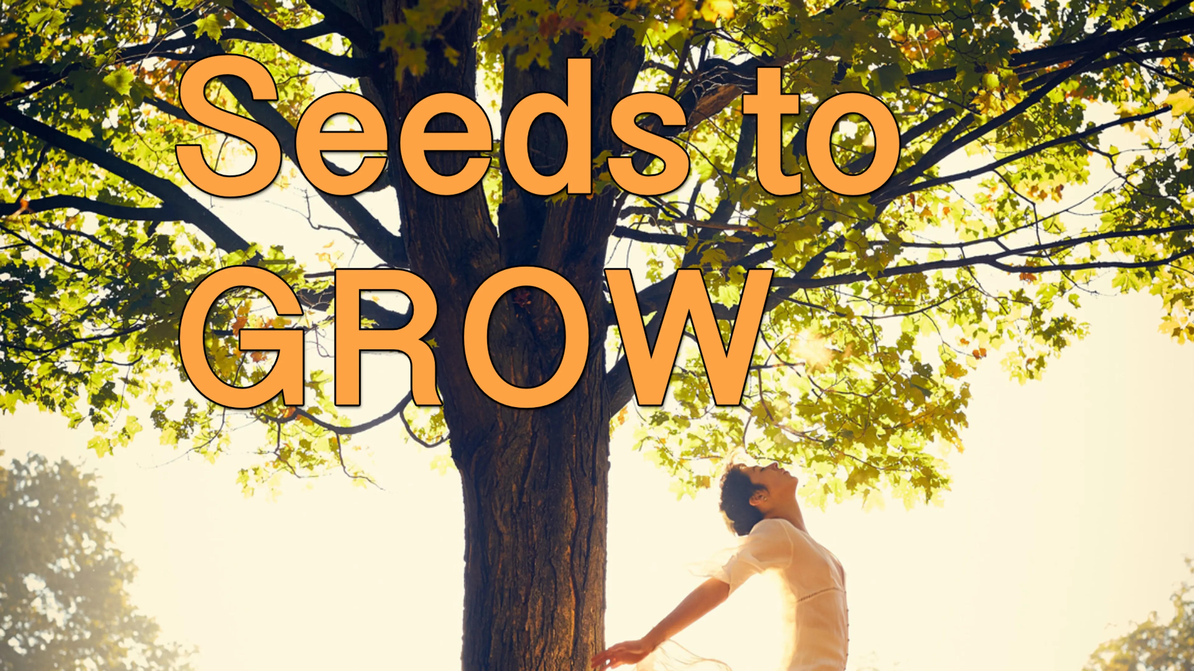 Seeds to Grow poster